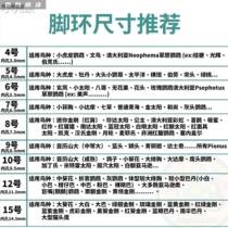 Parrot flying bird rope tiger skin back eight Xuanfeng lead child injury lead rope rope training bird super light brother parrot with no rope feet