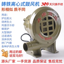 SM Twin Horse Blower 220V Home small centrifugal blower industrial stove arch air blower