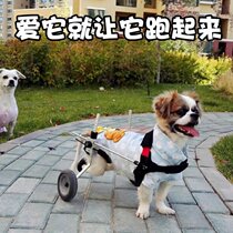 Forelimb Scooter Bracket Car Dog Disabled Walking Cart Dog Bracket Helper Car Cat Animal