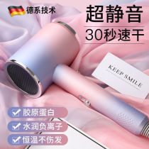 German hair dryer household hair salon Barber shop dedicated high-power negative ion hair care quick-dry silent Blower