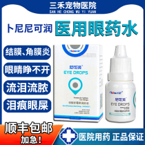 Pet cats and dogs with eye drops inflamed tears pus conjunctiva antibacterial anti-inflammatory to tear eye drops