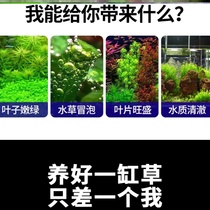High pressure gas cylinder generator low pressure fish tank bottle grass cylinder co2 cylinder special inflatable small gas cylinder carbon dioxide
