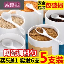 Delicate long handle chili spoon mixing spoon small plastic commercial seasoning spoon Kitchen seasoning spoon set spoon set spoon