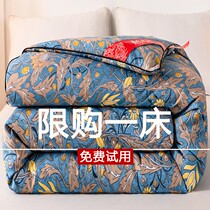 Antarctic official flagship store authentic silk quilt 100 mulberry silk winter quilt thickened warm double quilt winter