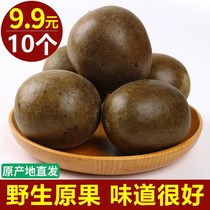 (10) Independent packaging of wild Luohan fruit tea dry fruit Qingfei Huatan Huatan with fat sea honeysuckle soaked in water to drink