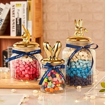 Nordic Couple Lucky Star Bottle Wishing Bottle Glass Glass Empty Bottle Creative Valentines Day