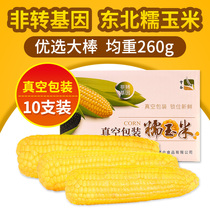 Shougu northeast sticky corn cob sweet glutinous rice sticky fresh vacuum package Non-GMO meal replacement ready to eat