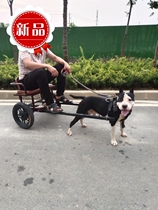 The dog-walking car for the dog-walking dog dog-pulling car