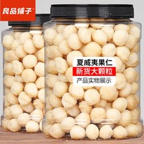 BESTORE Macadamia Nuts Cream Flavor 500g large canned nuts Original dried fruits Lazy nuts High-end pregnancy