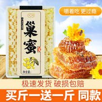 Honeycomb honey whole piece chewed and eaten earthy honey pure natural wild flower source authentic hundred flower honey 500g box box