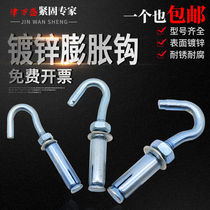Expanded hook galvanized expansion hook with hook expansion adhesive hook expansion plug with hook well cover net scenting hook ceiling M6M8