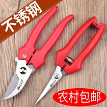 Pruning scissors Grape picking scissors Garden fruit tree scissors Thick branch flower scissors Labor-saving branch repair garden art scissors