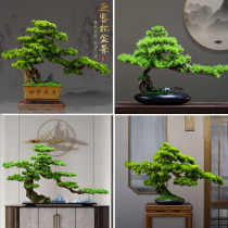 Simulated green plant new Chinese style welcome pine bonsai decoration living room porch cabinet model room hotel decoration Zen soft decoration