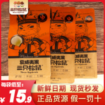 (Three Squirrels_Hawaiian fruit 160gx3 bags) healthy snacks snack snack nuts dried fruit snack food