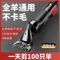Wool Cut Shave Cotton Wool Electric Scissors High Power Wool Pushback Electric Wool Sheen Electric Wool Clipper Electric Pushback