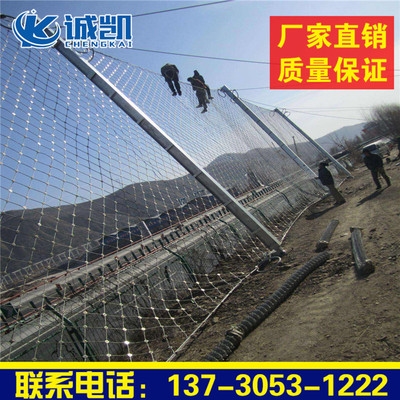 Passive slope protection net landslide barrier net steel rope net metal slope protection net intercepting rockfall safety net