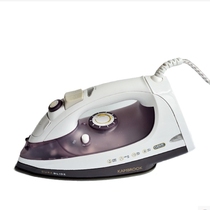 German double spray 2400W dry and wet dual-purpose high-power iron iron electric hot bucket steam engine