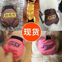 Female dog health pants female large dog Corgi pet dog menstrual period aunt towel golden hair health and safety underwear