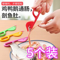 Intestinal knife poultry scissors kill chicken knife open chicken intestines knife knife cut cut cut cut chicken duck goose intestines artifact