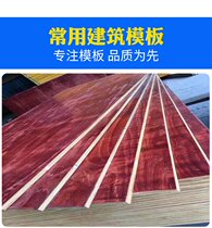 Template woodworking board construction new construction site composite floor Engineering Board small red board waterproof and wear-resistant laminated board