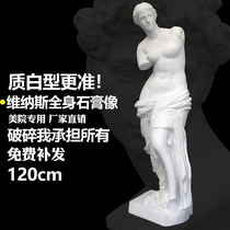 1 2 m systemic Venus plaster decoration large sculpture decorative statue European characters of fine arts teaching aids