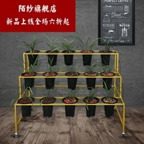 Nordic orchid special shelf balcony living room multi-layer flower pot stand Green chloropam green plant rack indoor and outdoor storage rack