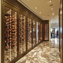 Stainless steel thermostatic wine cabinet Villa home red wine cabinet light luxury wine cellar club wine rack wine bar display cabinet