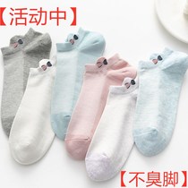 Cat man socks female Korean short socks spring and autumn thin boat Socks female college style invisible tide socks female student socks