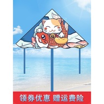 Weifang kite adult special 202121-year new style China wind Net Red large high-grade cartoon breeze easy to fly