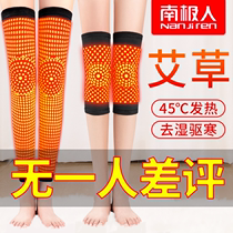 Wormwood knee cover cover warm old cold legs male Women joint spring and autumn elderly special fever cold long tube socks
