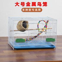 Bird cage Metal Tiger skin parrot Xuanfeng Starling bird peony bird cages breeding cage Birdcage clearance