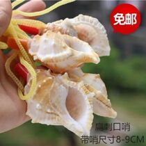 Natural shell crafts stalls supply Shell whistle conch snail whistle Toy Trumpet