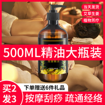 Wormwood old ginger essential oil massage whole body Meridian push open back scraping essential oil plant body beauty salon special