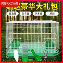 Pigeon cage cage large outdoor stainless steel second floor flying large space breeding cage large 12 large extra large space