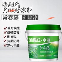Water paint Ivy latex paint exterior wall paint scrub paint clean taste balcony paint mildew and antibacterial