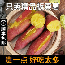 Sweet potato weight loss diet sweet potato weight loss fruit fresh honey potato farm chestnut potato sweet potato sweet potato