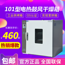 Kewei electric constant temperature blast drying oven oven 101 Industrial oven dryer Laboratory high temperature aging equipment