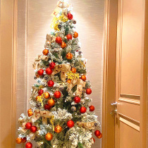 Christmas tree home package encrypted white flocking snow Nordic Net Red large shopping mall decoration snowflake Christmas tree