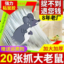 Mouse sticky strong mouse board mouse trap mousetrap glued Big Mouse Rat Trap mouse artifact mouse paste catch rat killing