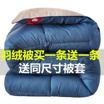 Duvet 95 white goose down double spring and autumn quilt single white duck down winter thickened winter quilt core 8 10kg