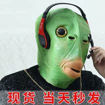 Green head monster hat green fish head cover funny head cover frog head cover frog head cover sand sculpture Fish Head Monster cover