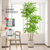 Nantian bamboo simulation green plant high-end light luxury fake tree potted living room decoration decoration bionic plant simulation flower decoration