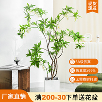 Simulation green plant light luxury fake plant living room decoration tree indoor large potted water stone ficus floor decoration simulation flower