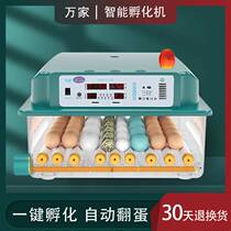 Mini small household type automatic smart egg incubator chicken duck goose pigeon egg automatic incubator hatching