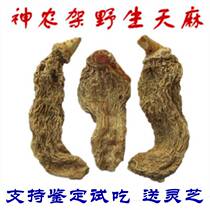 Shennongjia Wild Tianma 500g 250g natural Special Grade dry goods non-Yunnan Zhaotong Tianma can be powder slices