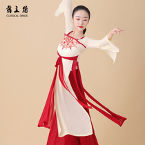 The protagonist of the dance the classical dance costume the rhyme the costume the costume the costume the costume the female