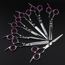 7 0 inch 6 0 inch White nut pet beauty scissors pet scissors straight scissors 6 5 inch dental scissors