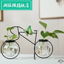 Creative green water plant glass transparent vase flower arrangement water pot iron ware desktop guest