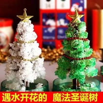 Magic Christmas tree blooming watering children paper tree flowering mini Christmas tree toy Christmas decoration Net red gift