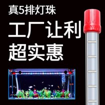 LED fish tank light waterproof diving light aquarium grass tank lighting light koi parrot red dragon fish out Moss lamp